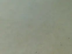 Amateur Live Sex of camila_valkirye