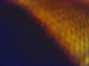 Cam4 Free Porn Cam of Lisbeth_69