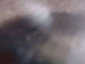 Cam4 Adult Webcam of Clarissa_Gill
