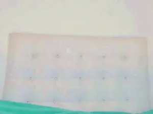 Cam4 Free Live Porn of natt99x