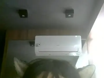 Chaturbate Adult Webcam of skinnykittencam