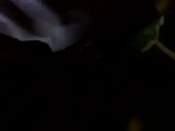 Chaturbate Live Porn of transcendental_tara