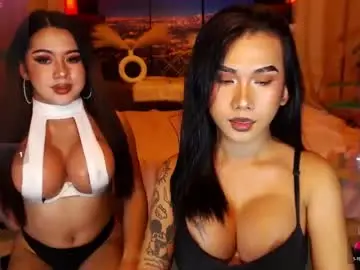 Chaturbate Sex Chat of transpornidol