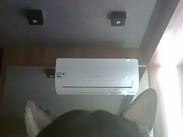 Stripchat Best Webcam of SkinnyKitten